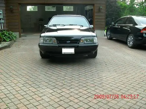 mustangsmall3.webp