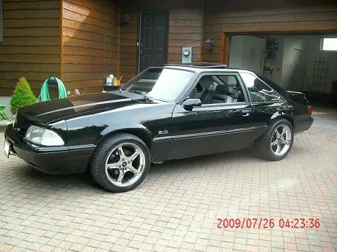 mustangsmall4.webp