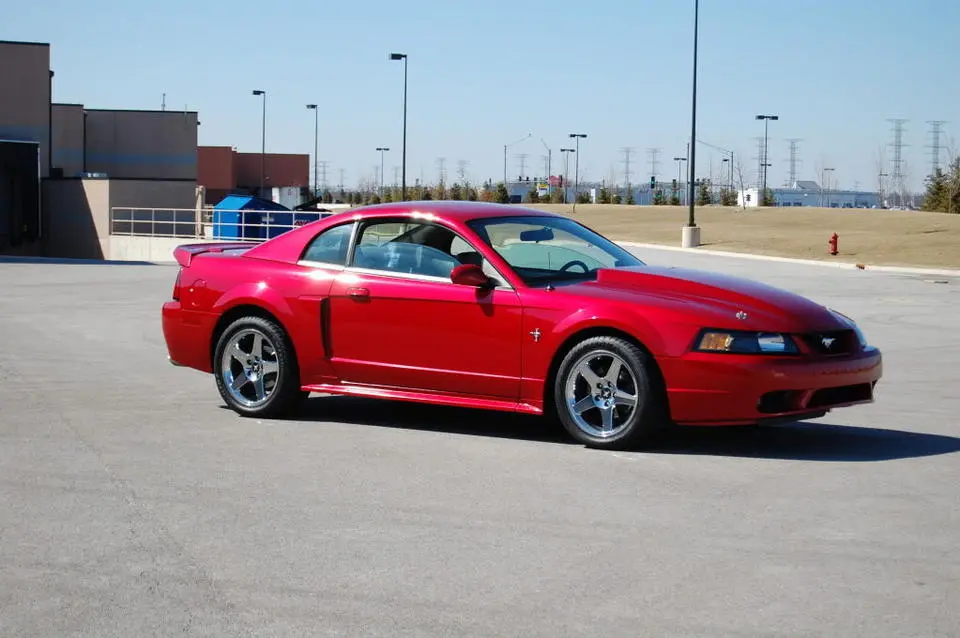 MustangSpring09010.webp