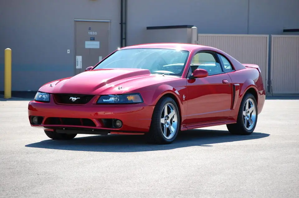 MustangSpring09016.webp