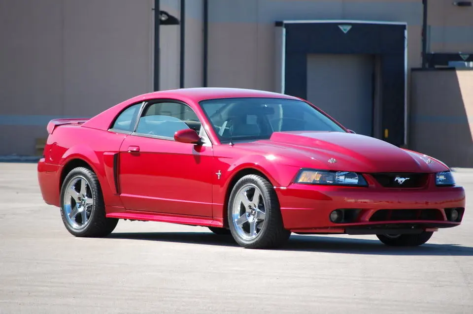 MustangSpring09022.webp