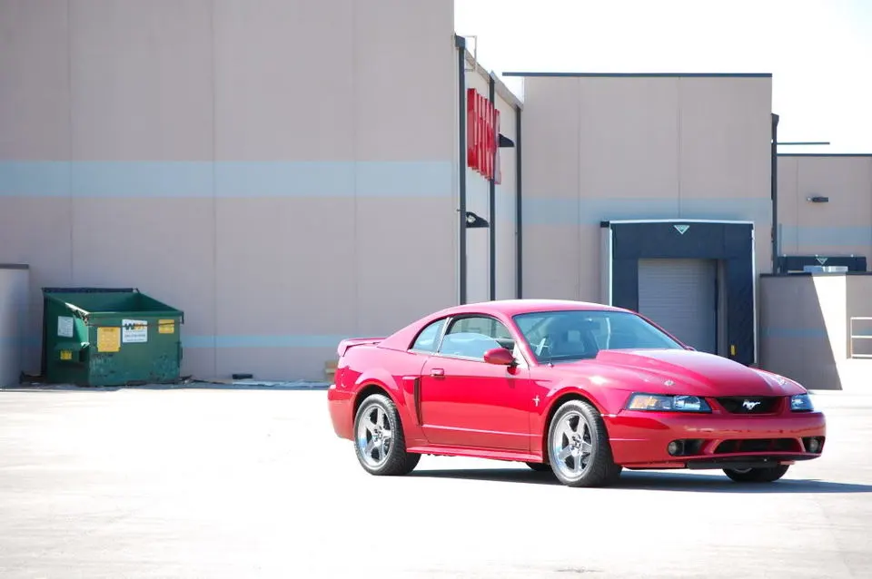 MustangSpring09023.webp
