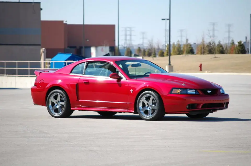 MustangSpring09026.webp