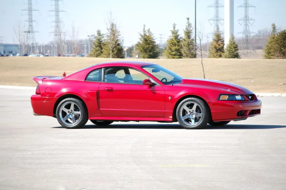 MustangSpring09032.webp