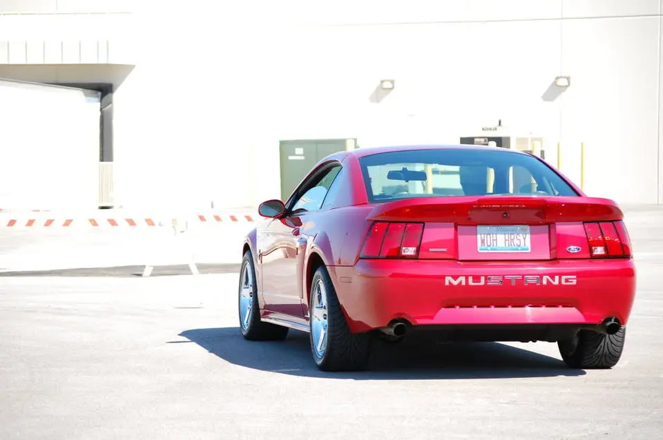 MustangSpring09034.webp