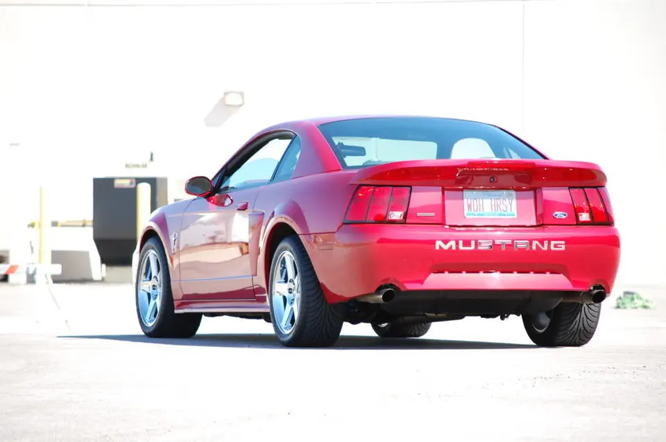 MustangSpring09036.webp