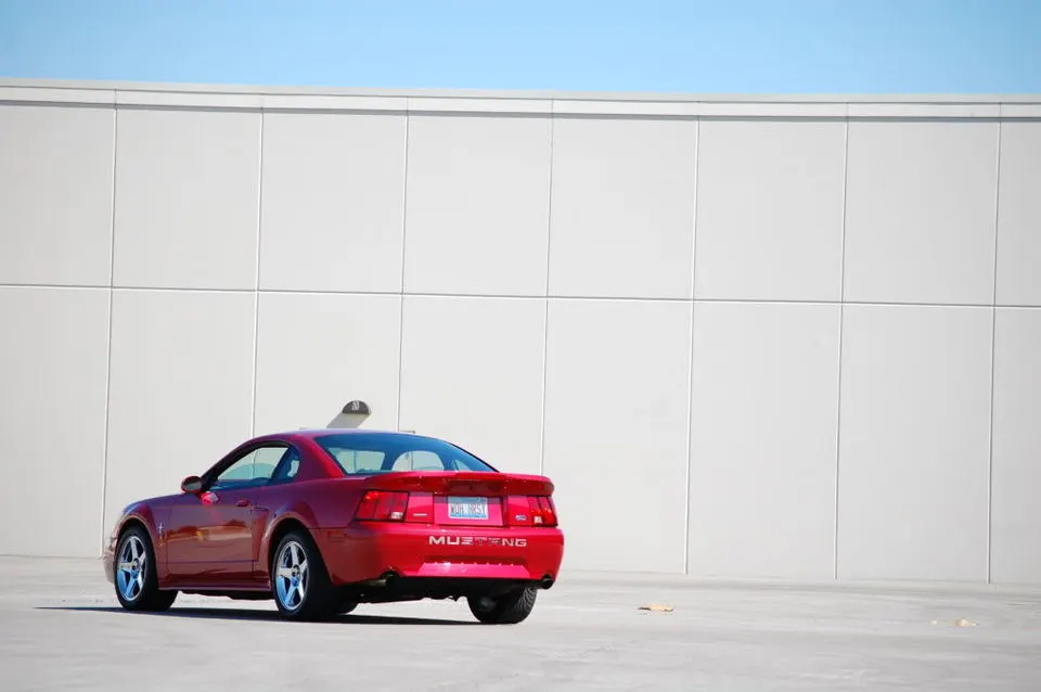 MustangSpring09042.webp