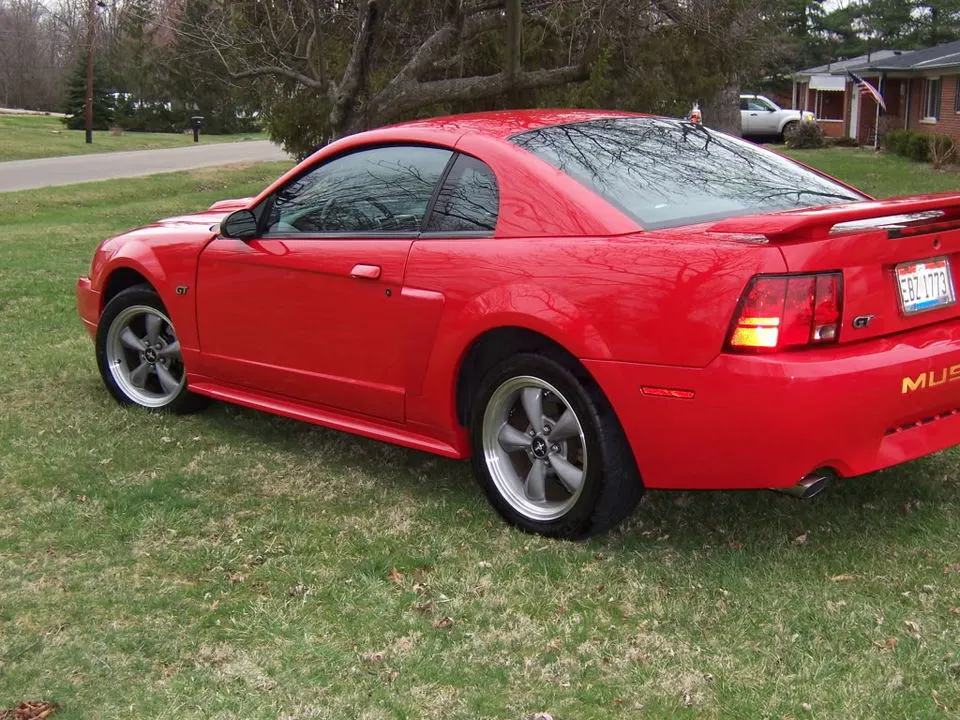 MustangSpring2009008.webp