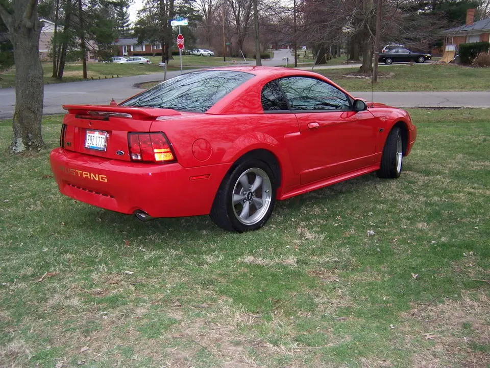 MustangSpring2009012.webp