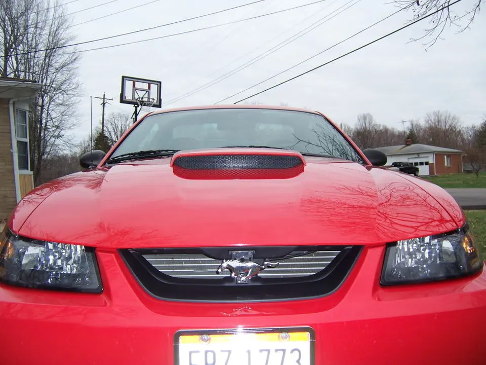 MustangSpring2009016.webp