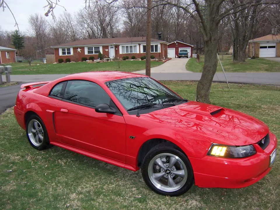 MustangSpring2009020.webp