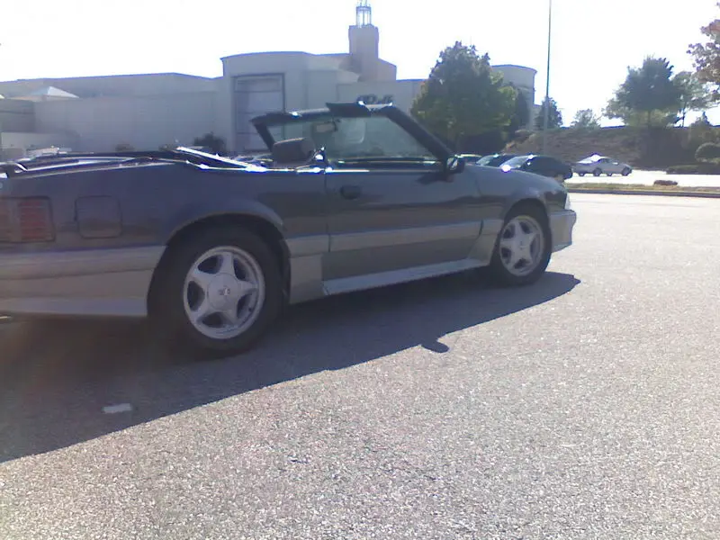 mustangsprings.webp