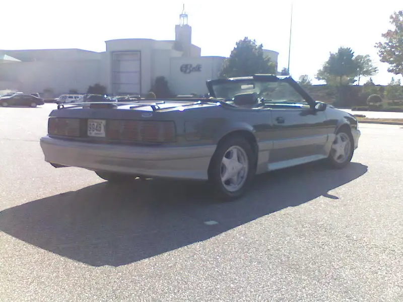 mustangsprings2.webp
