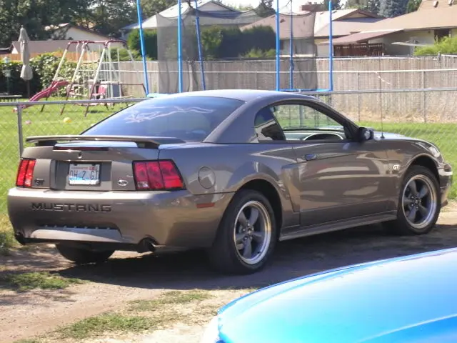 mustangswap081.webp