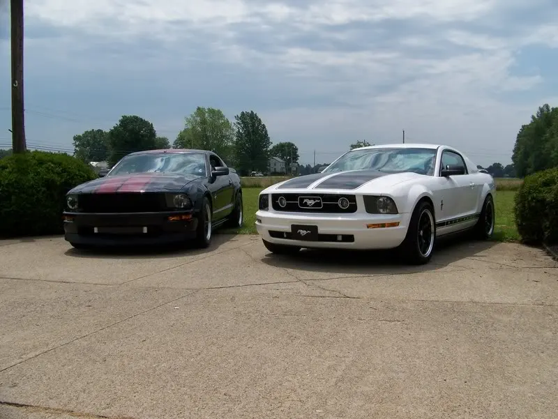 mustangswithtodd002.webp