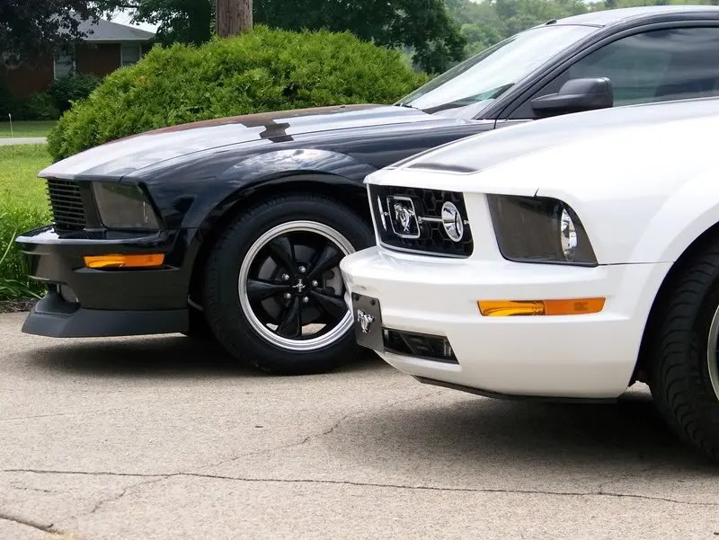 mustangswithtodd014.webp