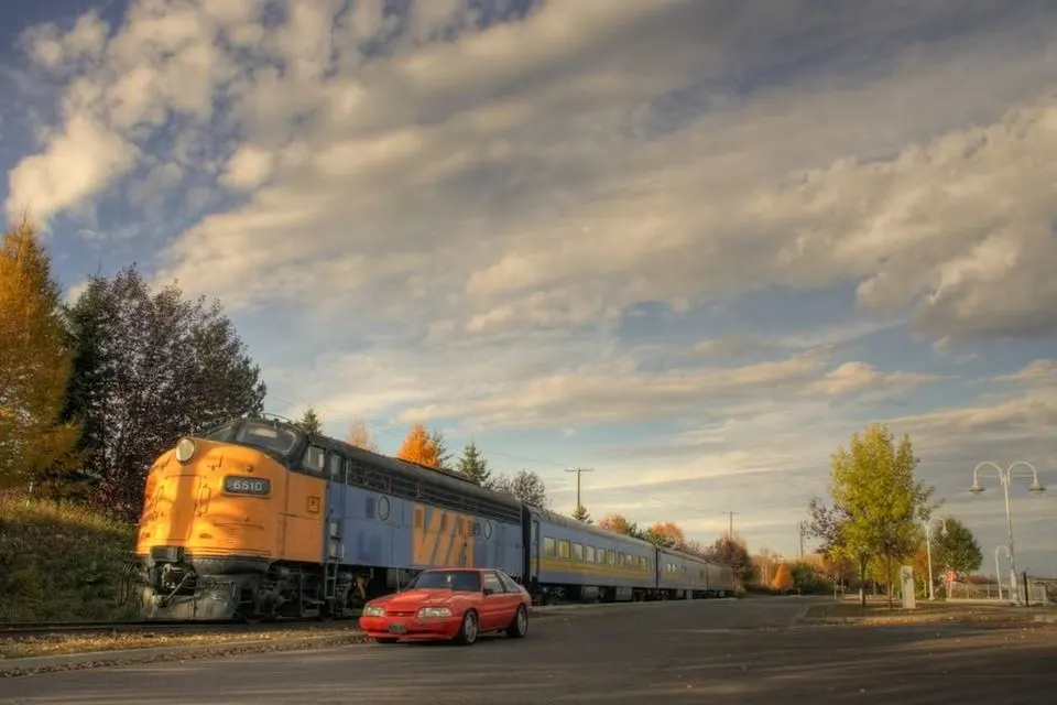 mustangtrain.webp