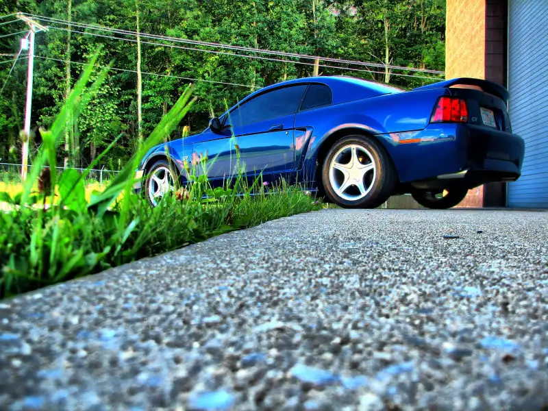 mustangU.webp