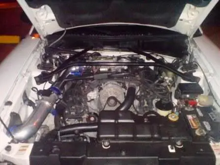 Mustangv8.webp