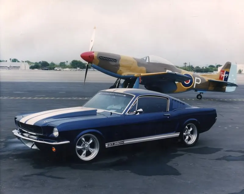 Mustangw-P51008.webp