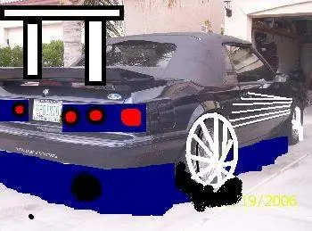 mustangwing.webp