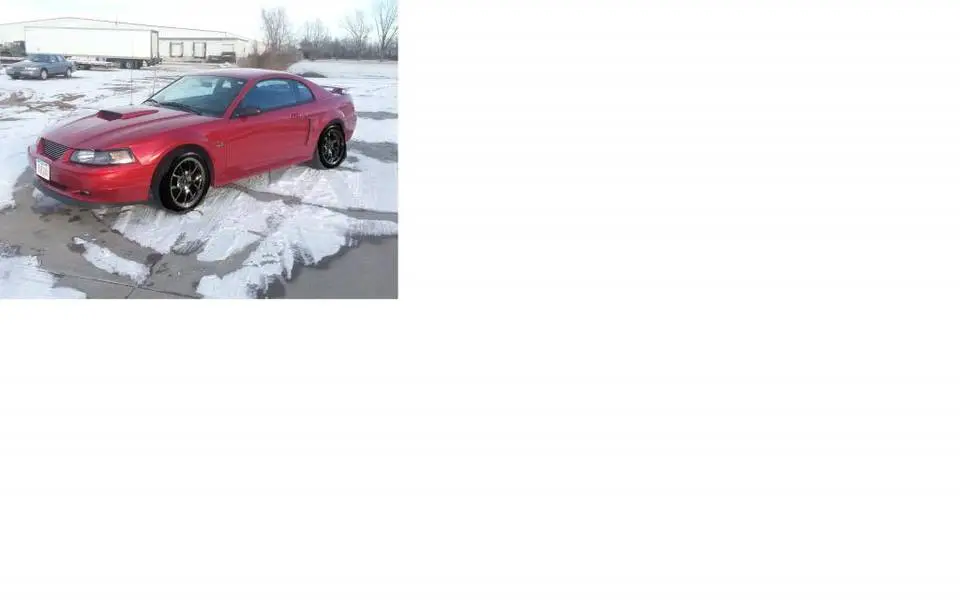 Mustangwithfr500_zpsd7eed6a8.webp