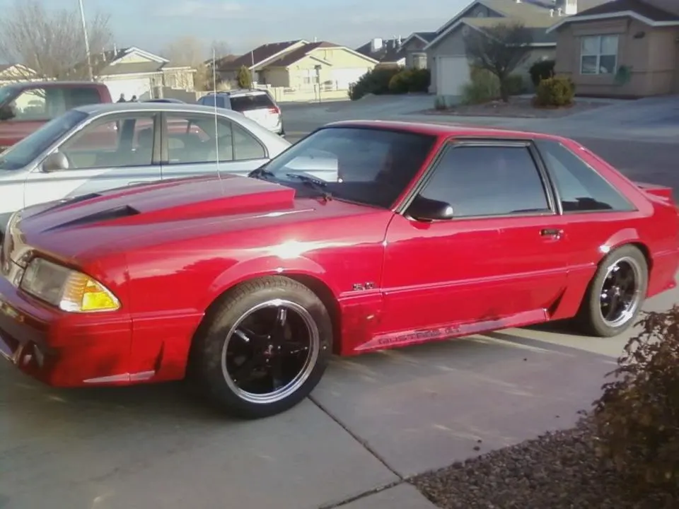 mustangwithnewrims.webp