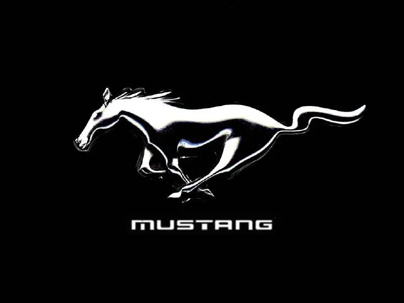MustangWP3.webp