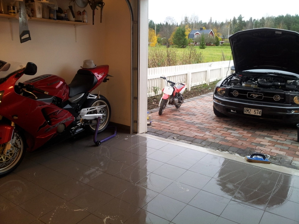 mustangzx12r.webp