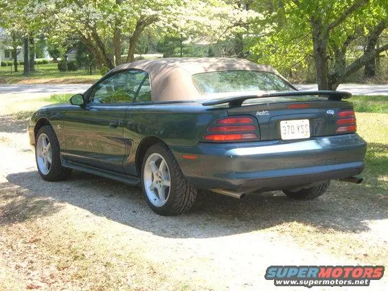my%20mustang%20008.webp