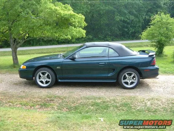 my%20mustang%20011.webp