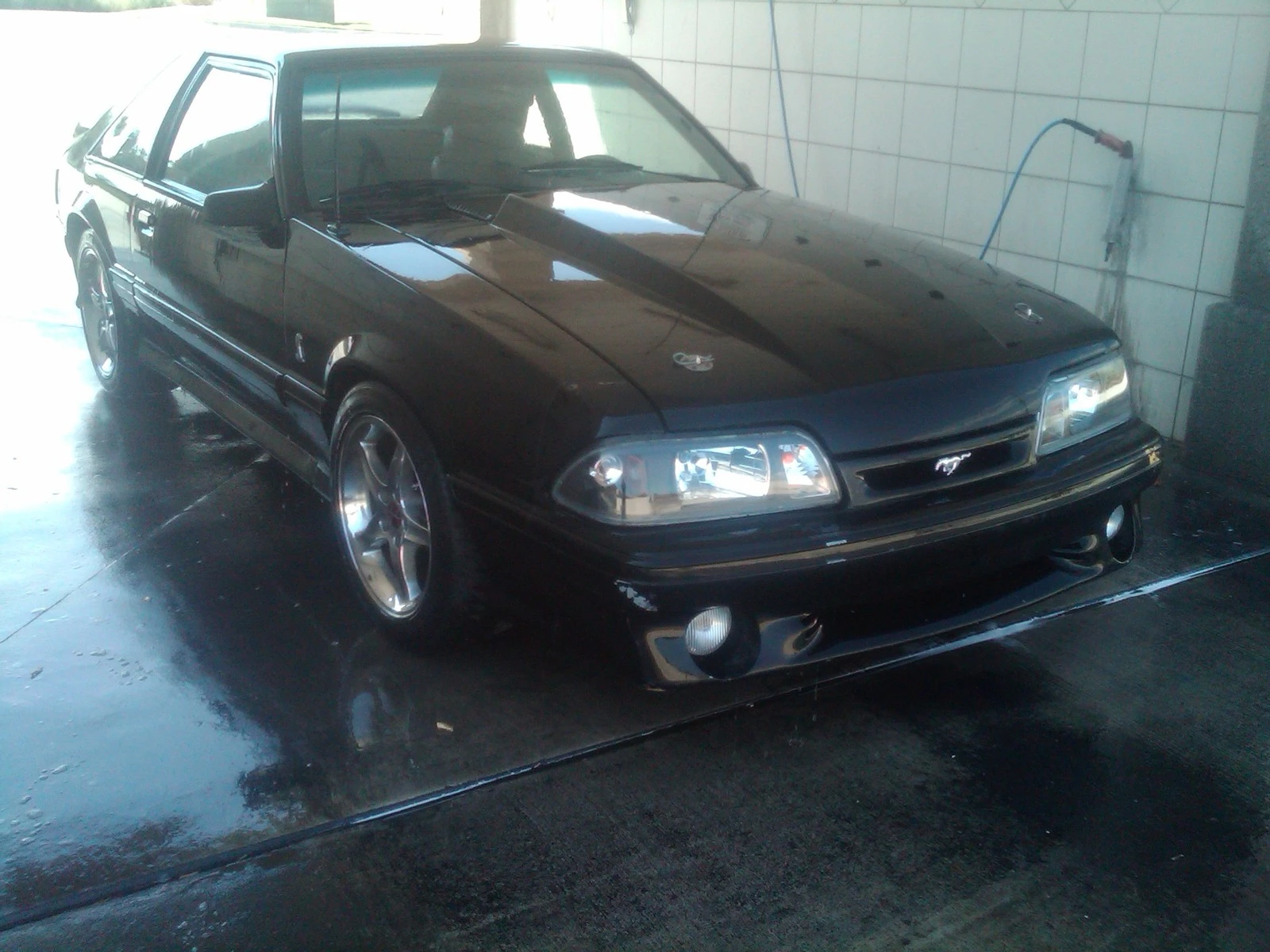 My 5 oh.webp