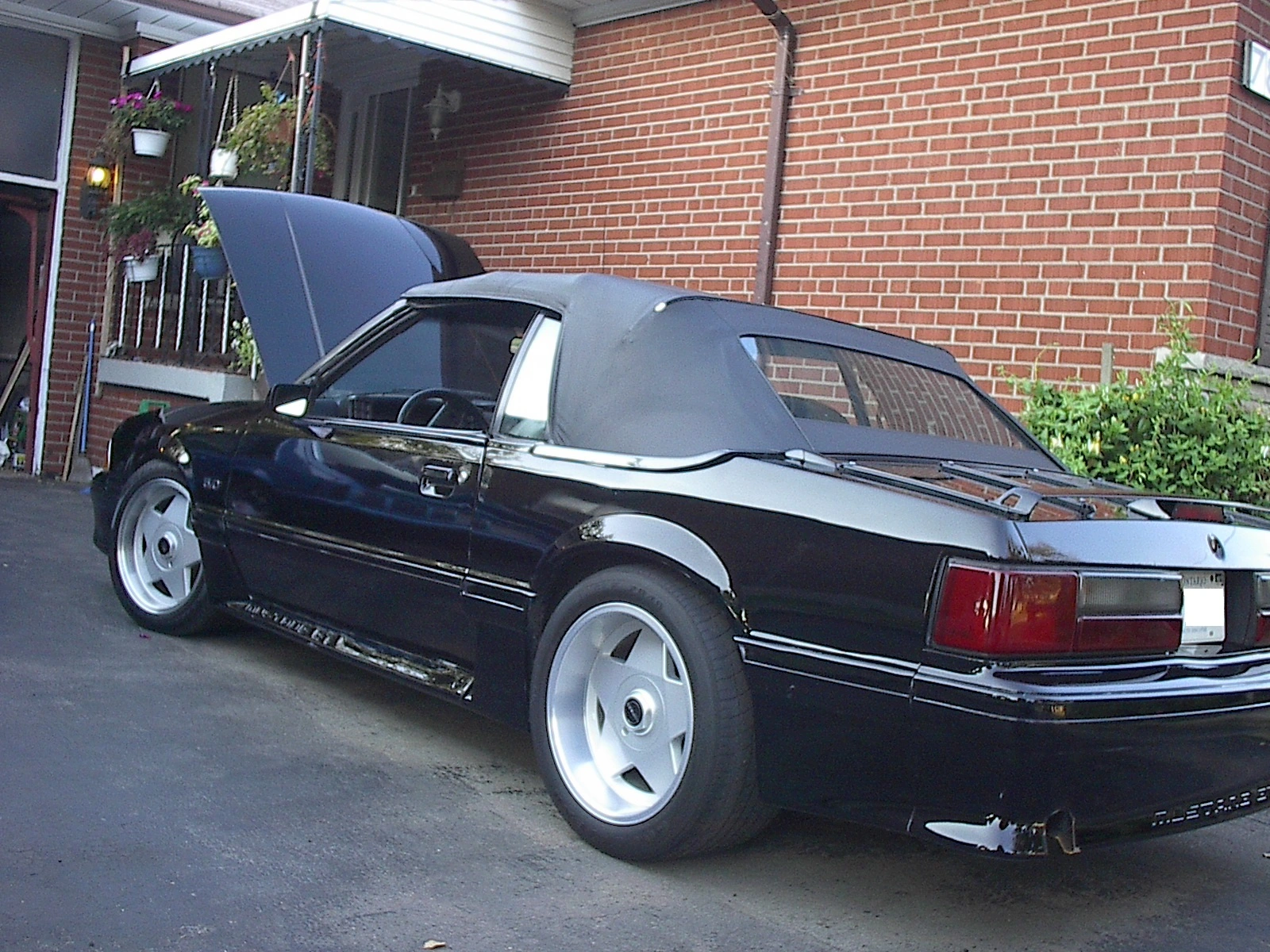 My 87 Vert.webp