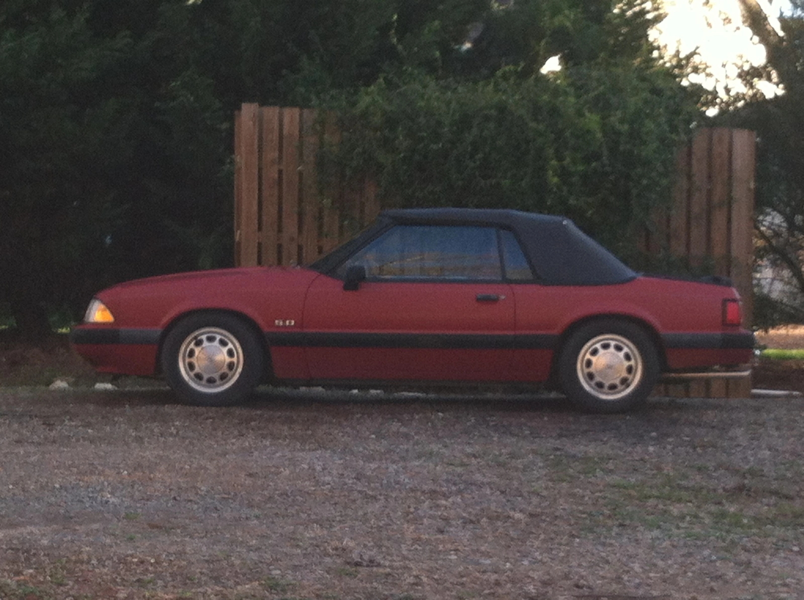 my 89 vert.webp