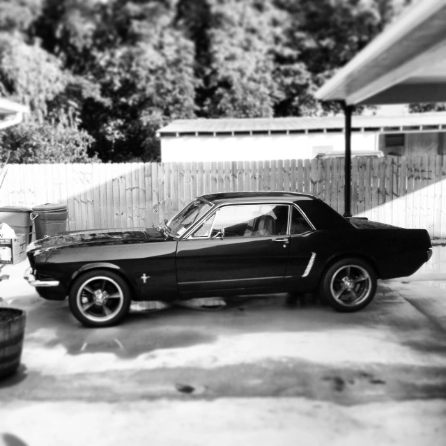 MY CAR.webp