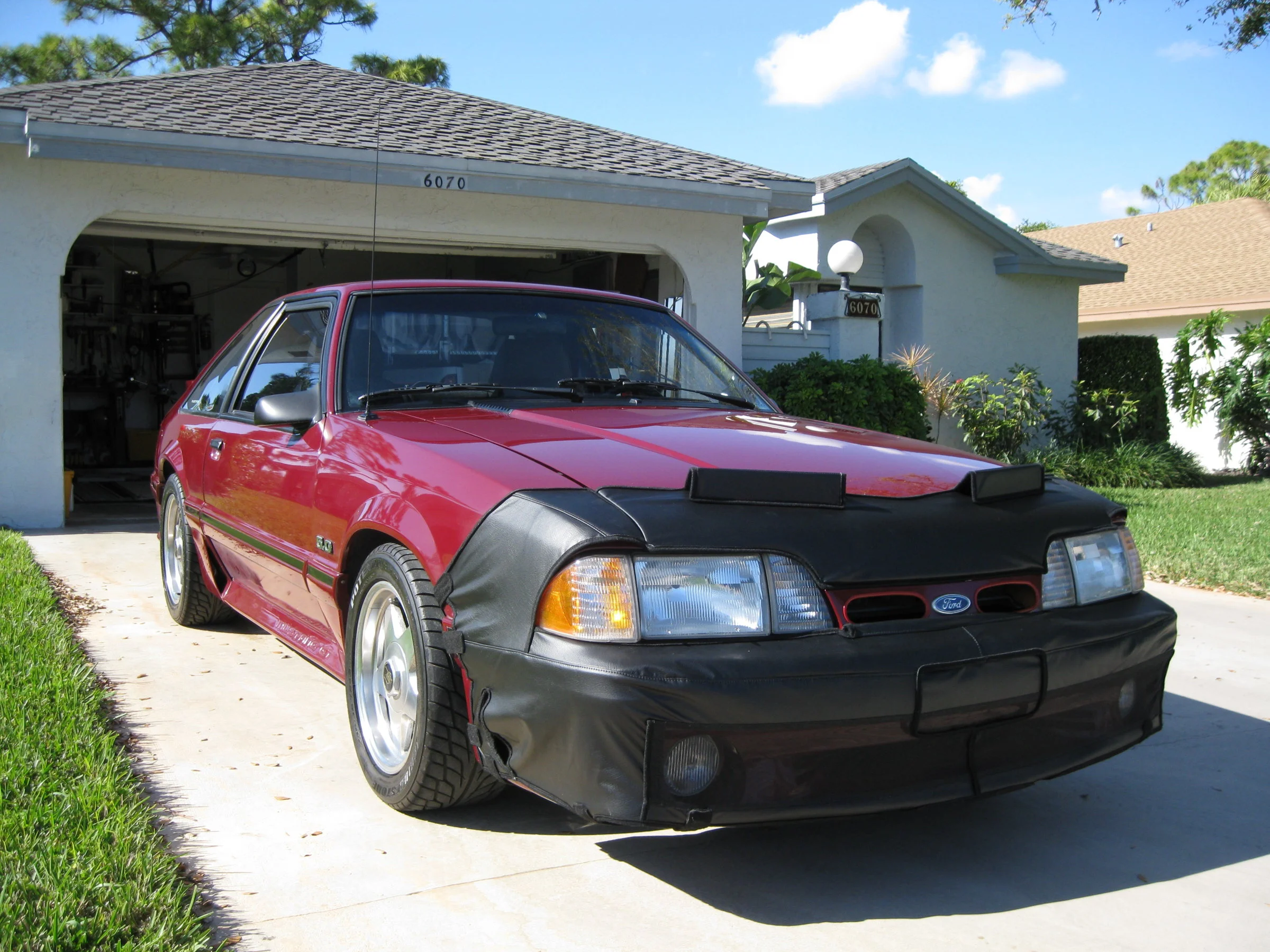 My Mustang Jan 2009_1.webp