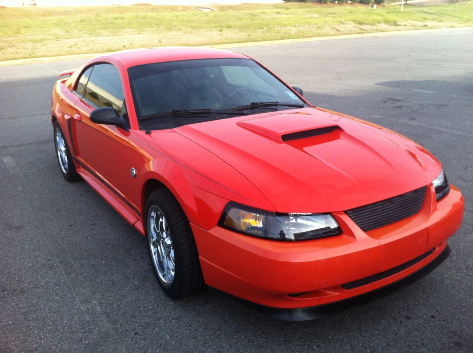 my mustang.webp