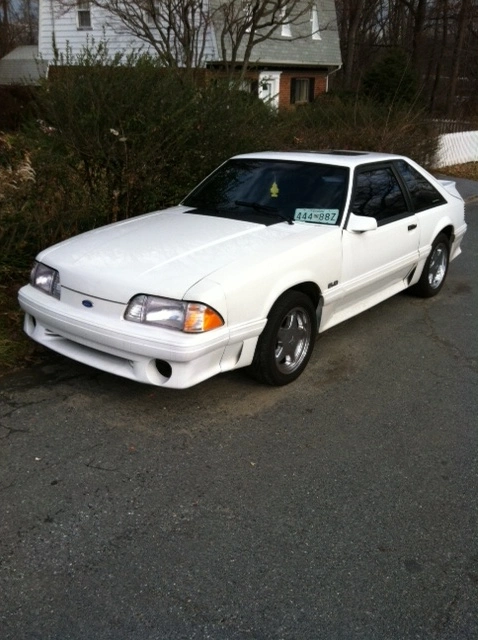my stang 4.webp
