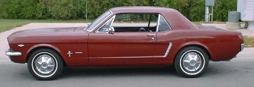 my65.webp