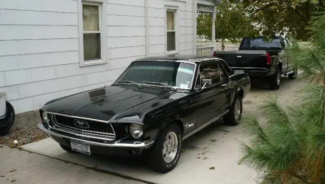 My68_01.webp
