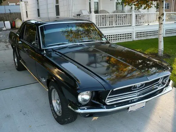 My68_02.webp