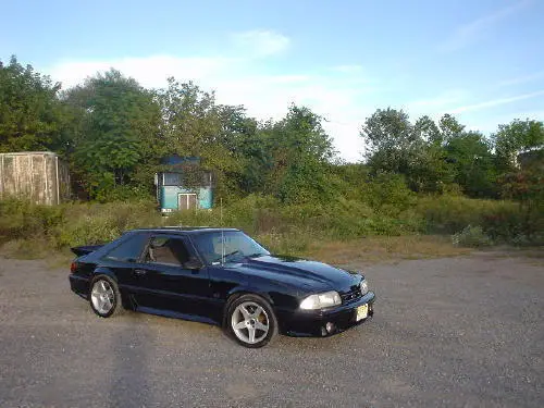 My89.webp