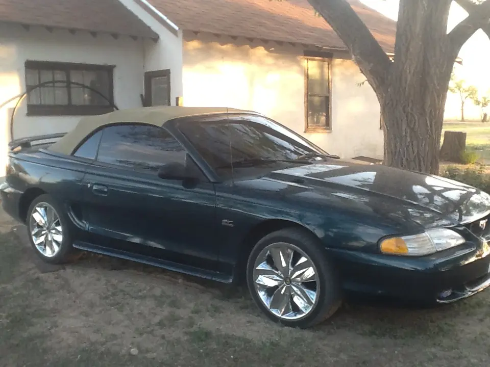 my95_zpsc8af54d8.webp