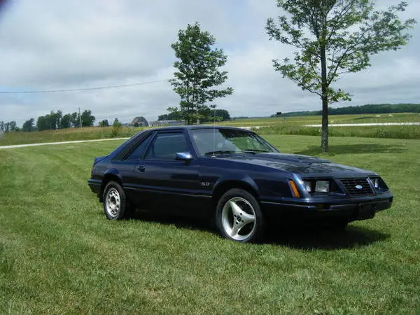 my_stang.webp