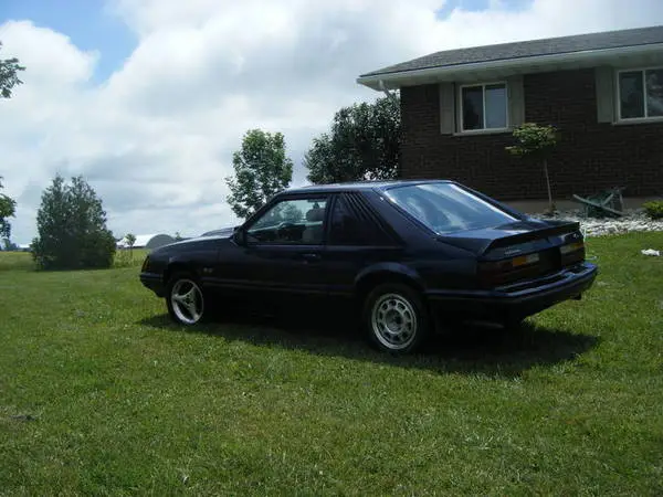 my_stang_2.webp