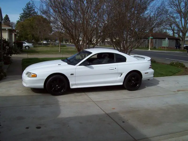 MYcameraPICS058.webp