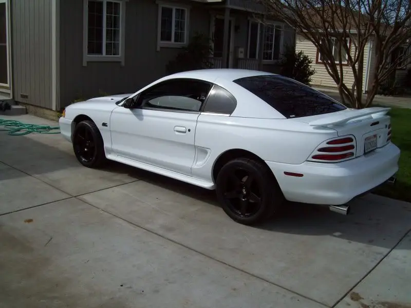 MYcameraPICS059.webp