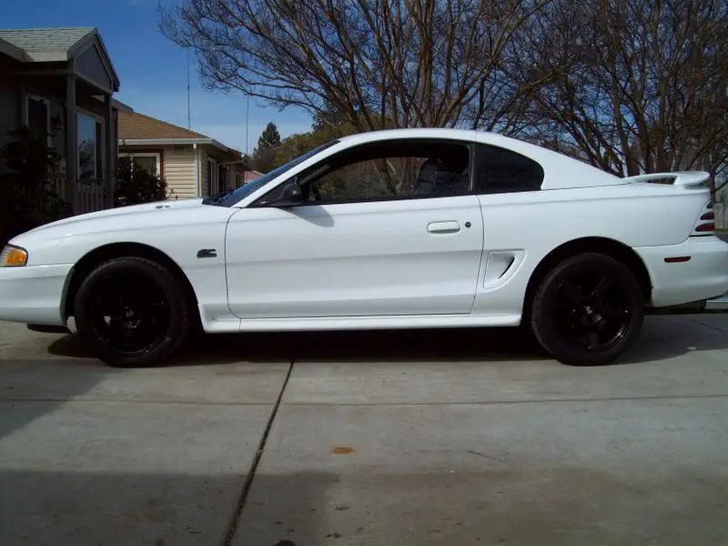 MYcameraPICS060.webp