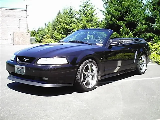 mycar2.webp