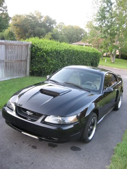mycarafterfix011.webp